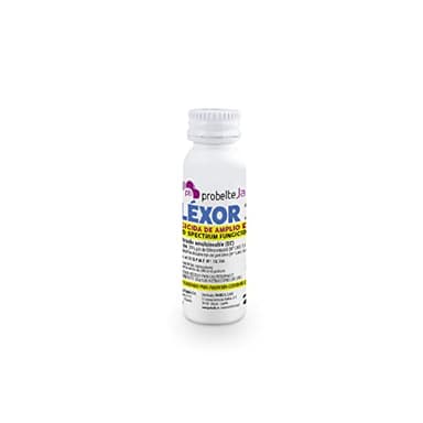 Léxor 25 Fungicida Plantas - Fungicida sistémico, de amplio espectro y de contacto - Acción preventiva y curativa - Autorizado para Jardinería Exterior - Concentrado Emulsionable - 5 cc - Probelte