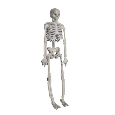 Doukesh Esqueleto de Halloween,Halloween Esqueleto de Plástico,Realista Modelo de Esqueleto Humano,Esqueleto para Halloween,Accesorios Decorativos de Halloween,17CM