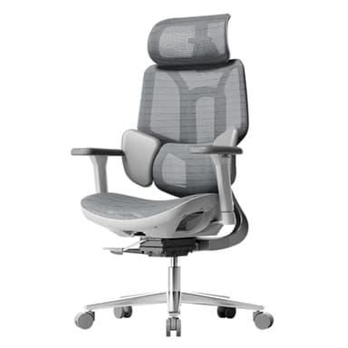 Hbada E3 Air Silla de Oficina Ergonomica - Soporte Lumbar Dinámico de 3 Zonas, Reposacabezas 3D y Brazos 3D, Silla Ergonomica Escritorio (Gris)