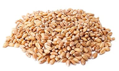 Trigo en Grano 25kgs. Alimentacion Animal Gallinas, Pollos, Patos, Aves