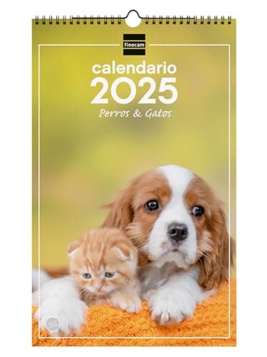 Finocam - Calendario Imágenes de Pared Espiral para Escribir 2025 Mes Vista Enero 2025 - Diciembre 2025 (12 meses) Perros y gatos Español