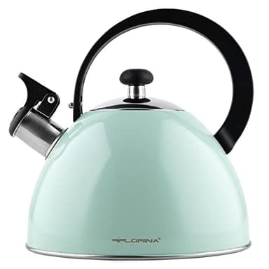 FLORINA Hervidor de Agua (2 l) | Hervidor de Té de Acero Inoxidable BRILLO | Hervidor de Agua a Prueba de Arañazos | Hervidor de Agua Estufa de Inducción, Estufa de Gas Estufa Eléctrica | Color: Menta