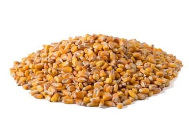 MAIZ grano 25 kgs. Alimentación animal. apto para gallinas, pollos, patos etc....