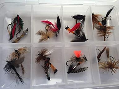 BestCity Pesca con mosca para truchas y chub, selección mixta sin púas, 20 moscas en el set seco y húmedo, sin ninfa, caja de moscas #302