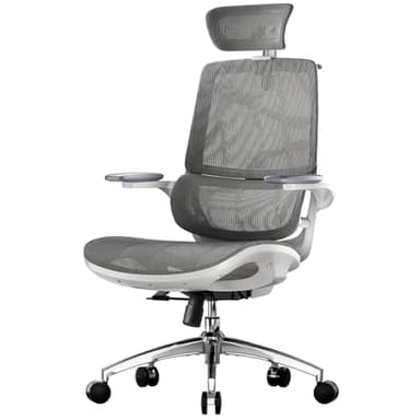 SIHOO M59AS Silla de Oficina Ergonómica con Reposabrazos 3D Plegables, Respaldo Doble y Soporte Lumbar Dinámico, Silla de Malla para Oficina en Casa(Gris)