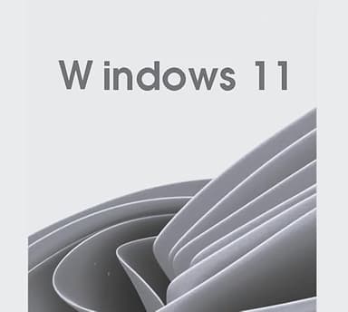 W indows 11 Professional
