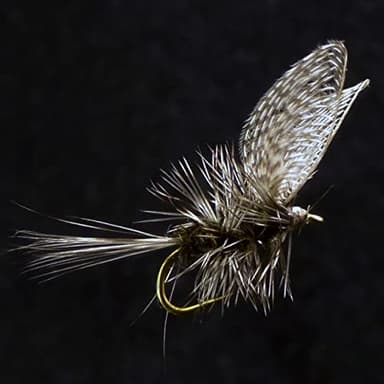 Moscas secas para pesca con mosca/ninfas/paracaídas Caddis/Oreja de liebre Dorato/ELK Hari/GRIFFITH'S GNAT/HEMMINGWAY/Parachute Adams/Royal Coachman/PEG'S Midge (Wally Wing)