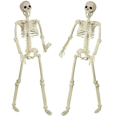 SIFOEL 90cm Halloween posable Esqueleto de Cuerpo Completo con articulaciones móviles para Halloween al Aire Libre de Interior jardín casa Patio Decoraciones (2Piezas)