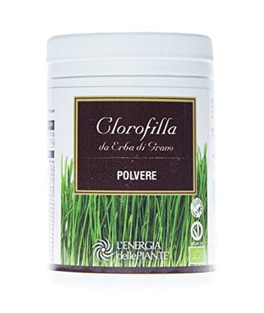 Polvo de pasto de trigo orgánico de clorofila