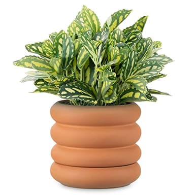Navaris Maceta de Terracota - Macetero Grande Ondulado para Interior o Exterior - Maceteros con Base de Drenaje - de 16 x 16 x 14 cm