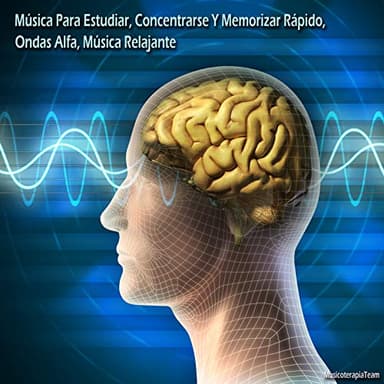 Música Para Estudiar, Concentrarse Y Memorizar Rápido, Ondas Alfa, Música Relajante