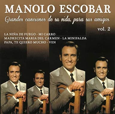 Grandes canciones de su vida, para sus amigos Vol. 2