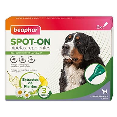 Beaphar Pipetas repelentes Naturales para Perros Grandes (más de 30 kg) - 3 Meses de protección Natural contra garrapatas, pulgas y Mosquitos - para Todo Tipo de Perros - 6 pipetas de 2 ml.