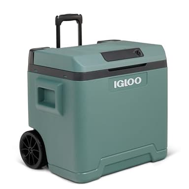 IGLOO IE42 nevera eléctrica para coche y enchufe, 42L, 12V y 230V